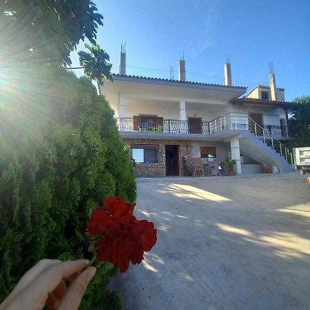 Vila Pasha Саранда Экстерьер фото